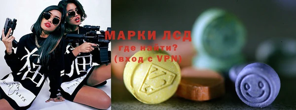 молекула духа Арсеньев