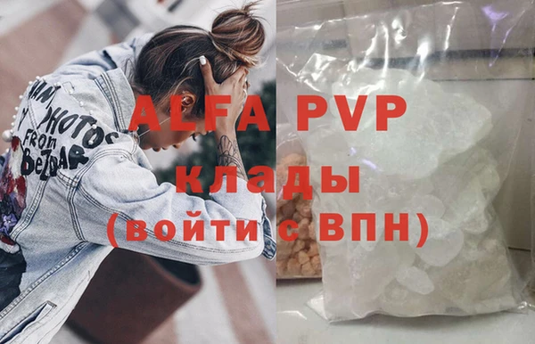 молекула духа Арсеньев