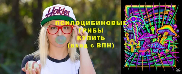 молекула духа Арсеньев