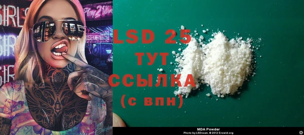 молекула духа Арсеньев