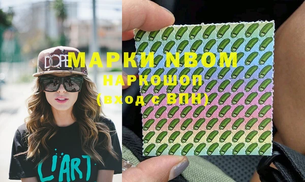 молекула духа Арсеньев